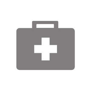 Koffer Icon