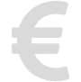 Euro Icon